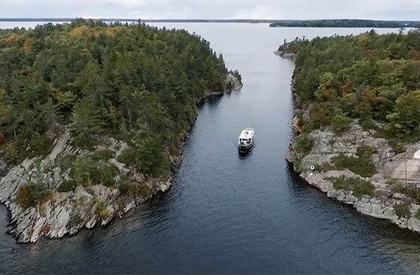 A boat is traveling through the water near some trees.